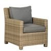 WENADJSOF WS Armchair 1