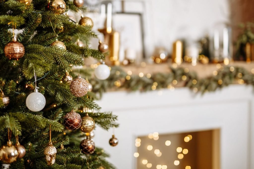 Put the Tree Up scaled Put the Tree Up scaled