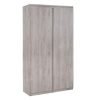 Jupiter 2 Door Wardrobe Grey Oak