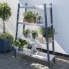 Galaxy Plant Shelf
