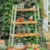Verdi Plant Shelf