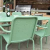 PORXSET OLIVE WEBP ()