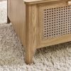 SYD SydneyRattanEffectCoffeeTableDetail jpg