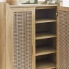 SYD SydneyRattanEffectShoeCupboardDetail jpg