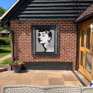 audrey reimagined jpg