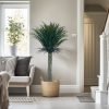 Artificial 1.4m Dracaena Feather Palm 1 Feather Palm Tree jpg