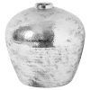 Hammered Silver Astral Vase 1 jpg