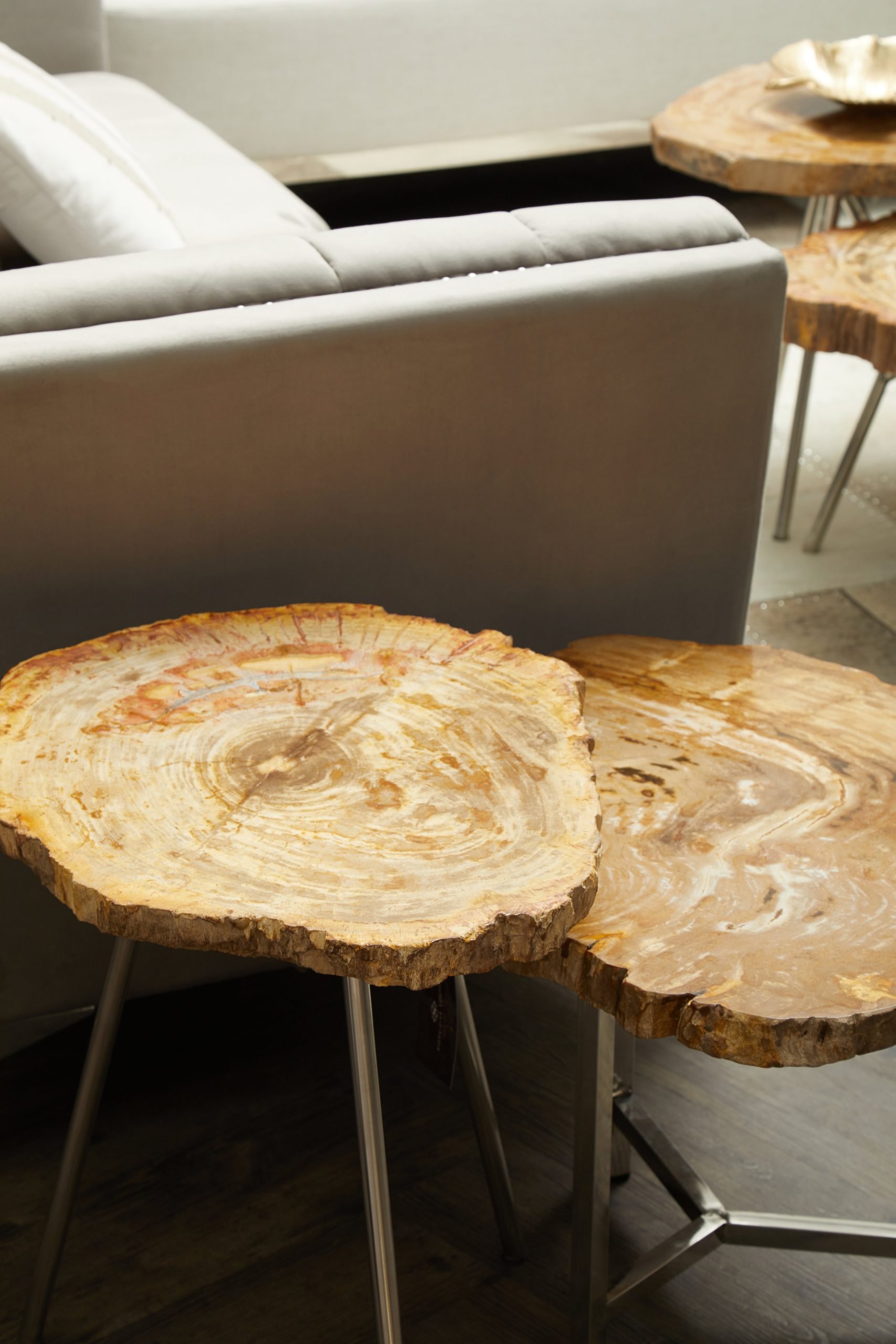 Ramioli Small Petrified Wood Side Table 8 scaled jpeg