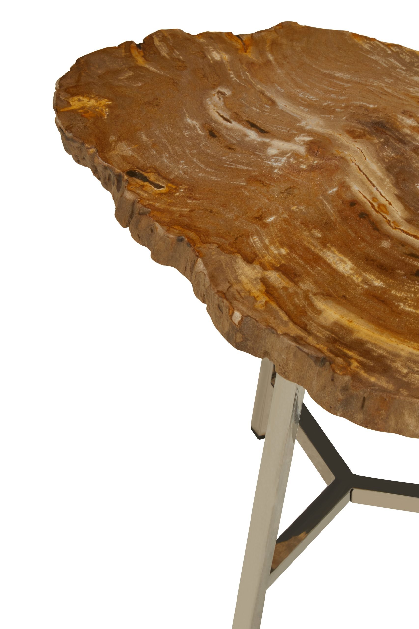 Ramioli Small Petrified Wood Side Table 7 scaled jpeg