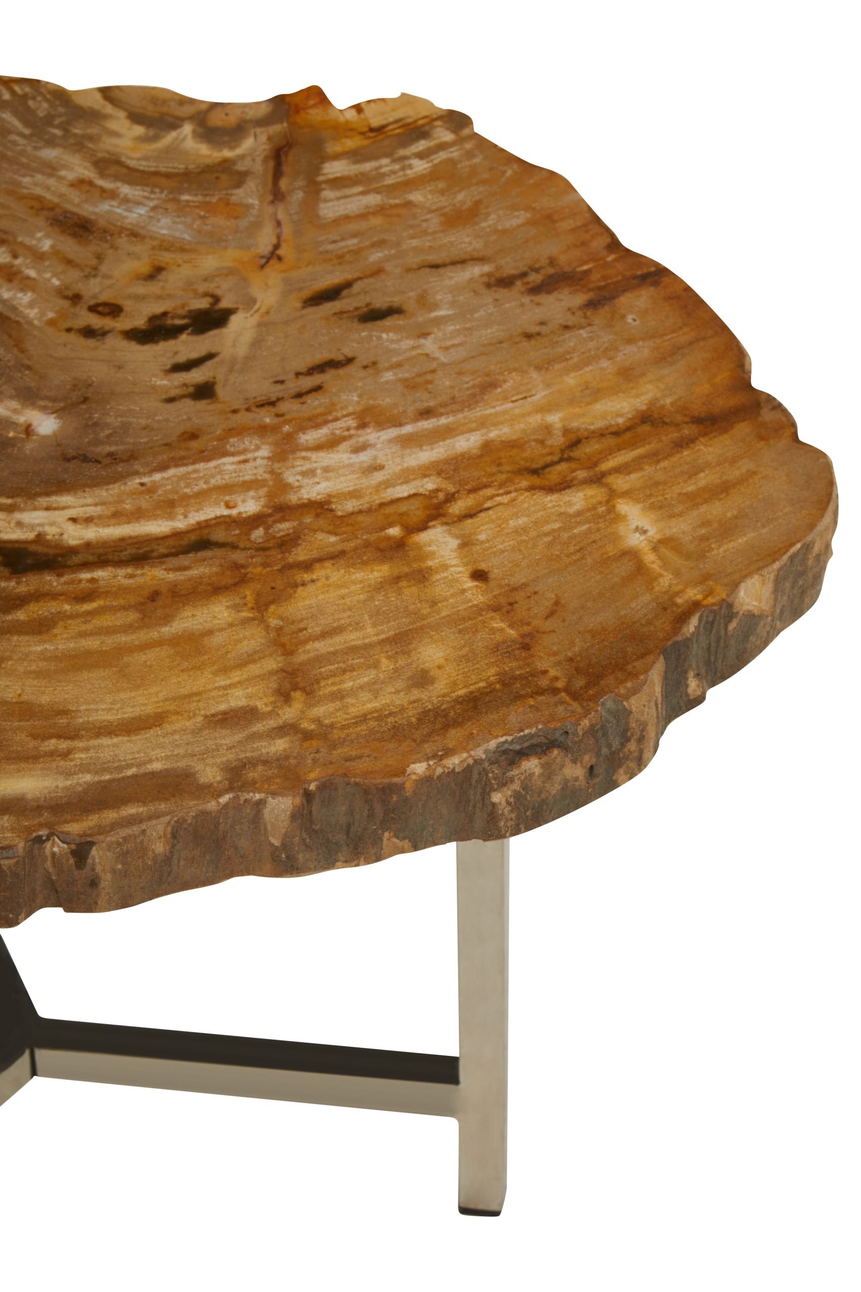 Ramioli Small Petrified Wood Side Table 5 scaled jpeg