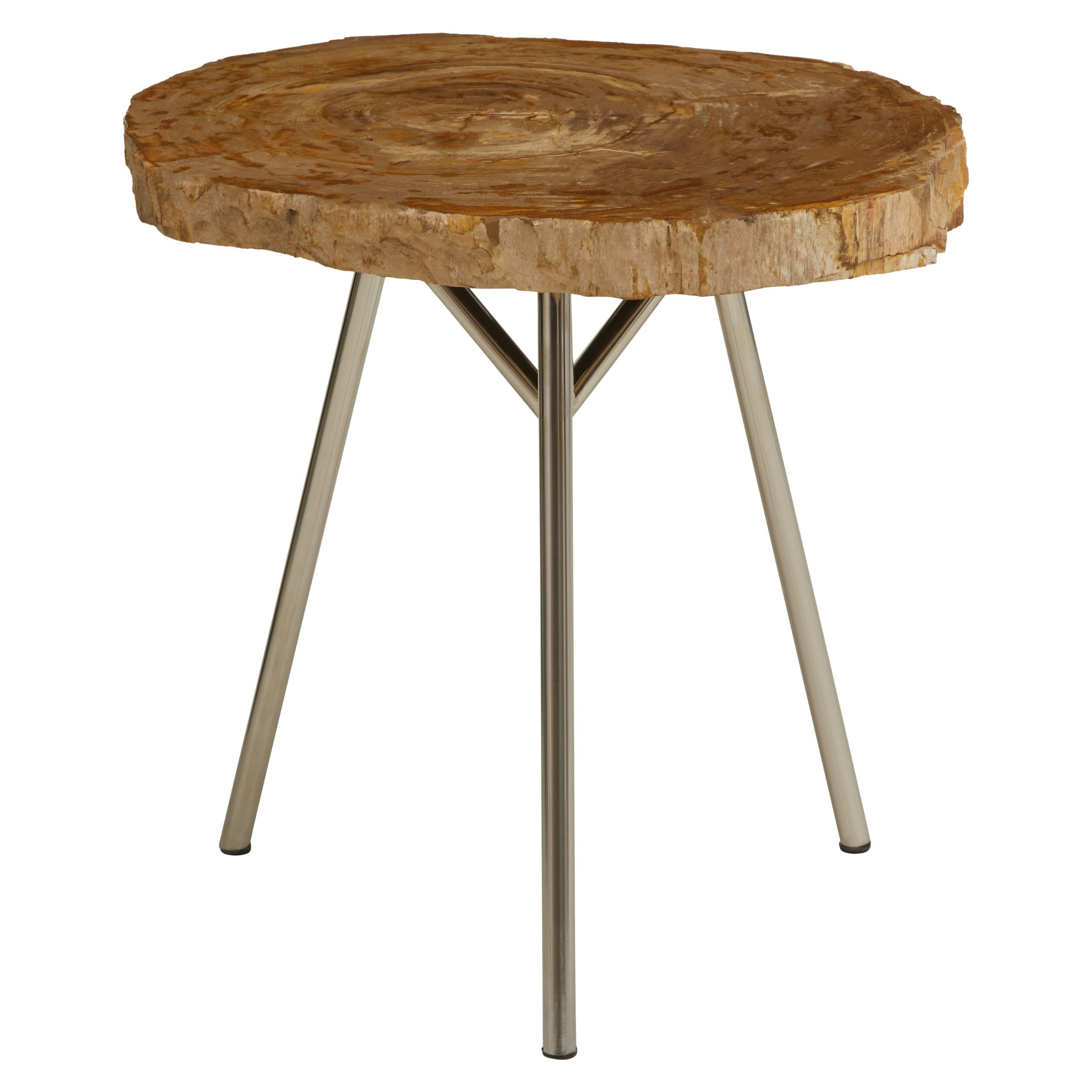 Ramioli Medium Petrified Wood Side Table 9 scaled jpeg