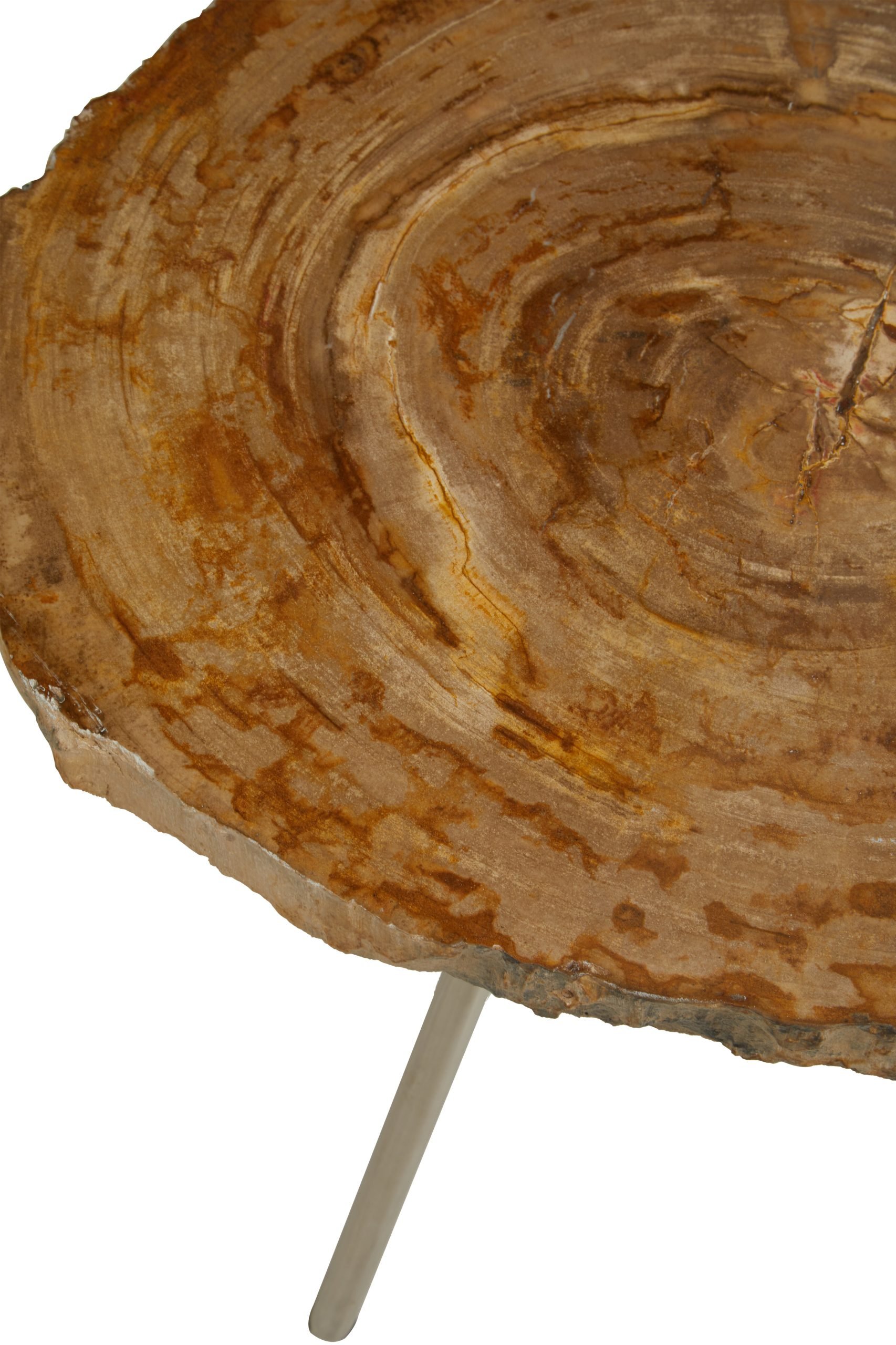Ramioli Medium Petrified Wood Side Table 7 scaled jpeg