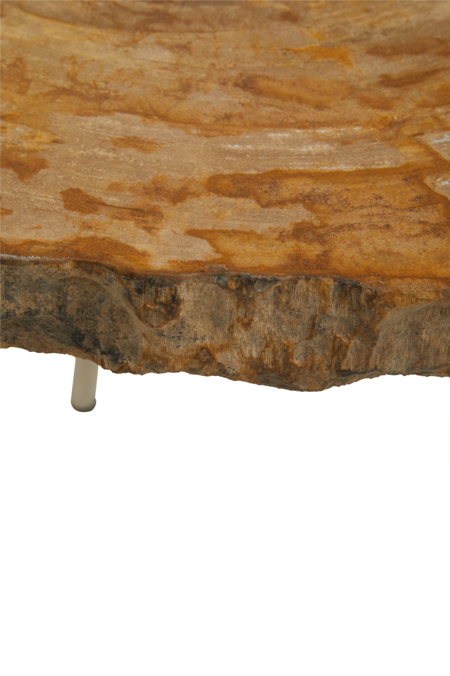 Ramioli Medium Petrified Wood Side Table 4 scaled jpeg