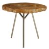Ramioli Medium Petrified Wood Side Table 1 scaled jpeg