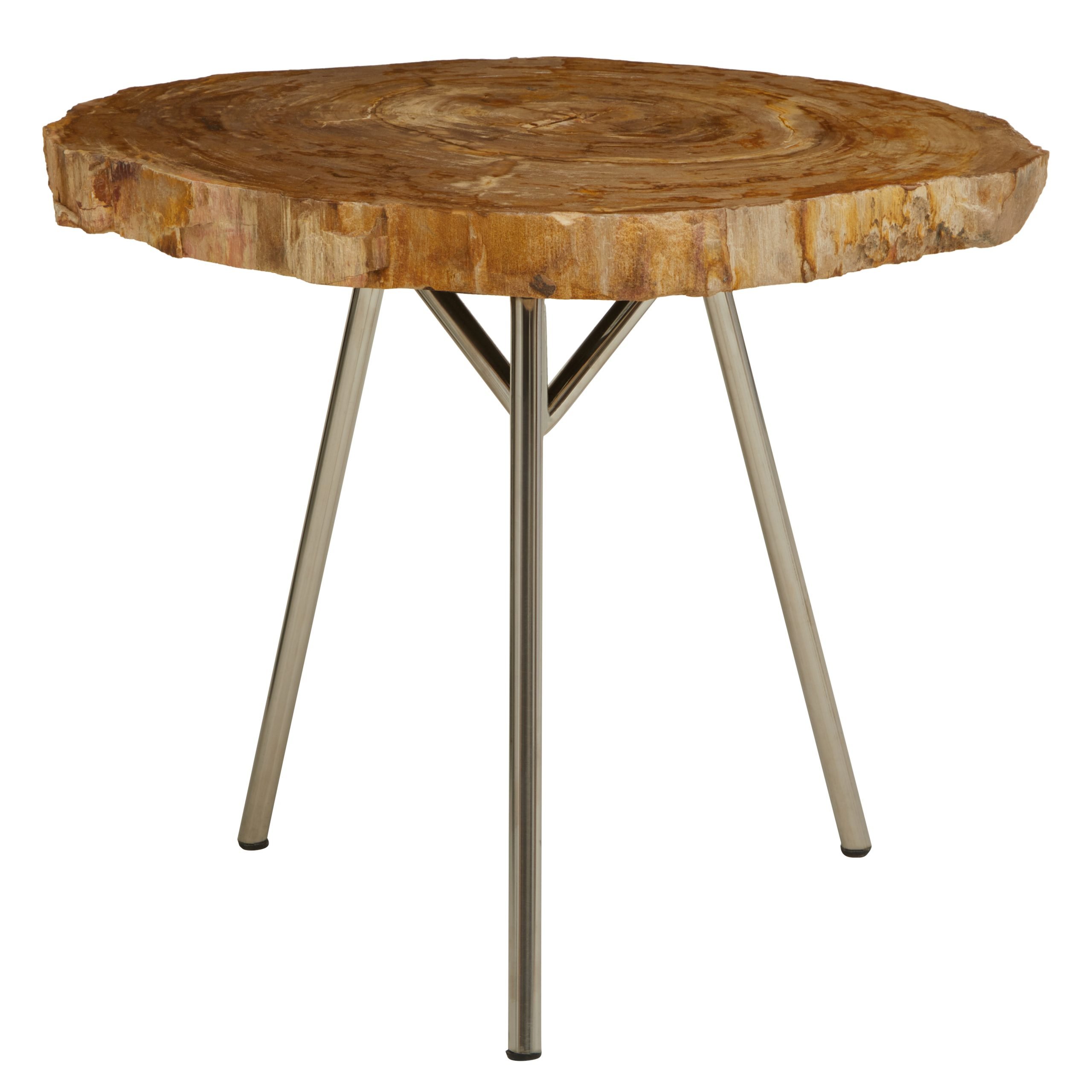 Ramioli Medium Petrified Wood Side Table 3 scaled jpeg