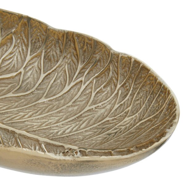 jpg