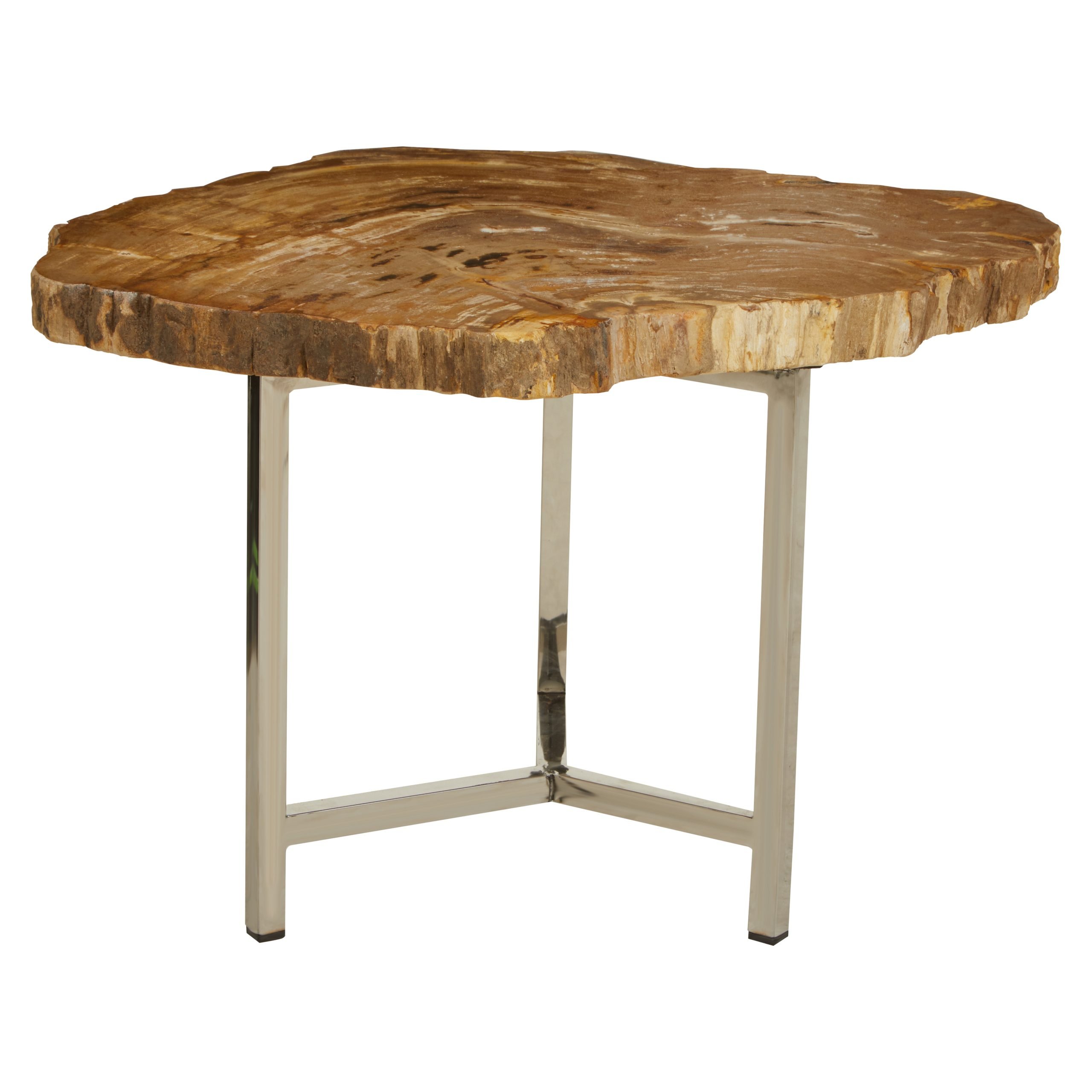 Ramioli Small Petrified Wood Side Table 12 scaled jpeg