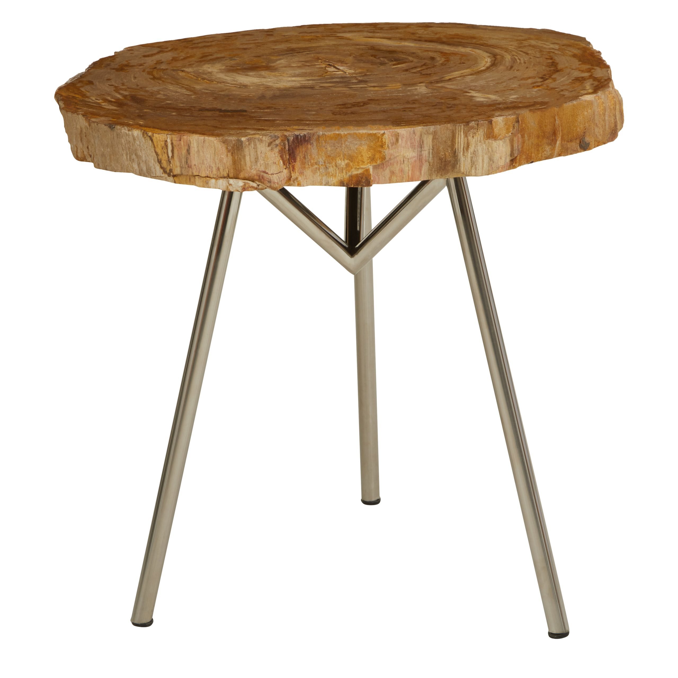 Ramioli Medium Petrified Wood Side Table 10 scaled jpeg
