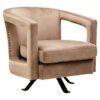 Halvora Mink Velvet Swivel Chair 1 swiv jpg
